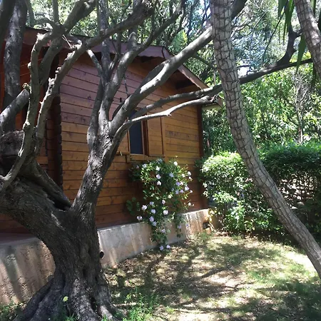 Διαμέρισμα Confort