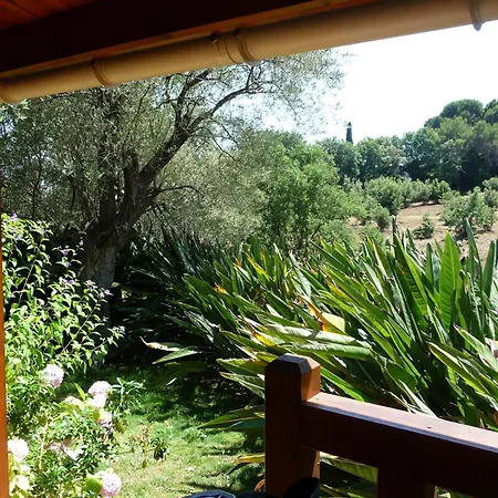 Διαμέρισμα Confort