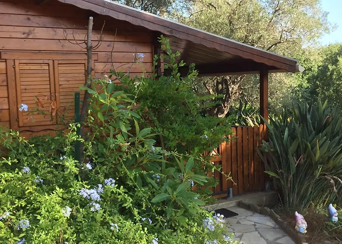 Confort Διαμέρισμα