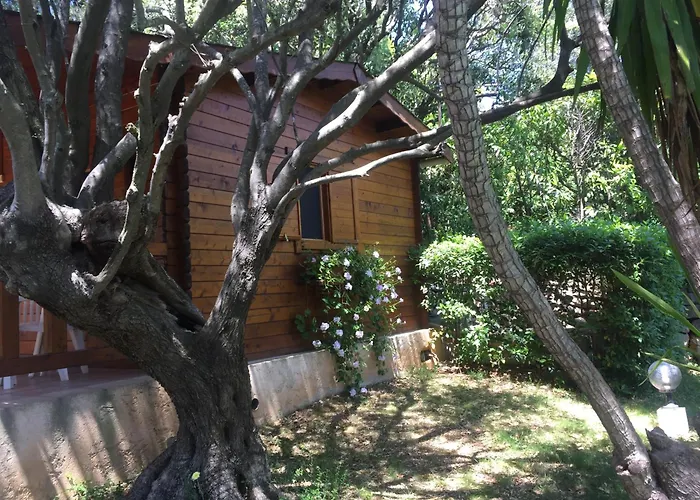 Διαμέρισμα Confort