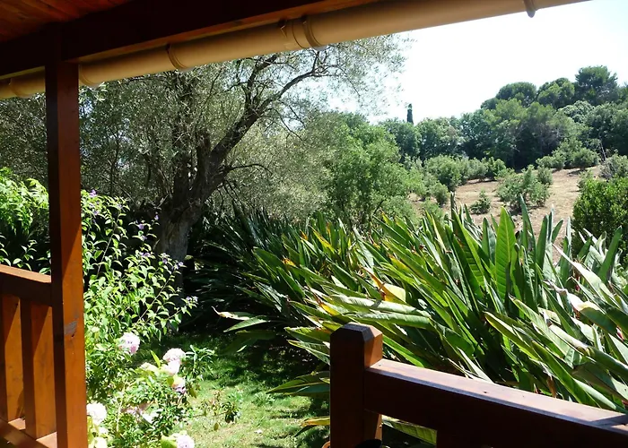 Διαμέρισμα Confort